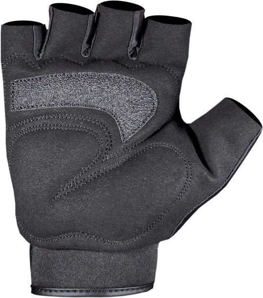 Schiek Sports - Classic Training Gloves