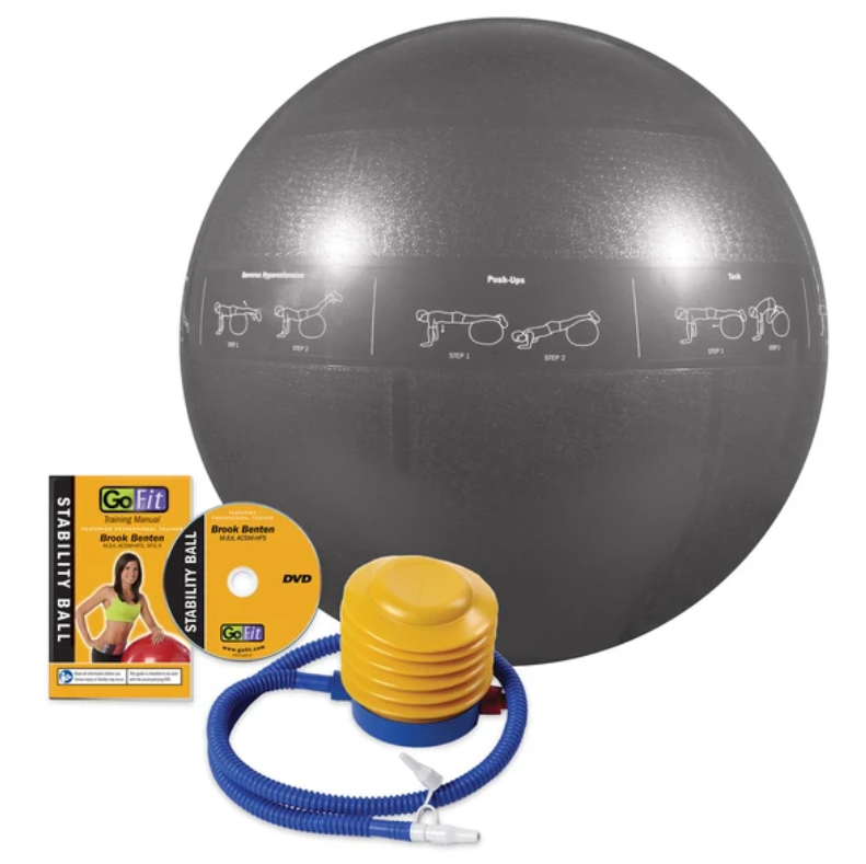 GoFit - Pro Stability Guide Ball